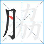 脇笔顺分解图片3