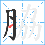 脇笔顺分解图片4