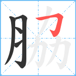 脇笔顺分解图片5