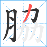 脇笔顺分解图片6