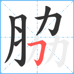 脇笔顺分解图片7