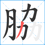 脇笔顺分解图片8