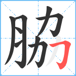 脇笔顺分解图片9