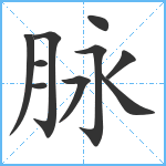 脉笔顺分解图片10