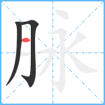 脉笔顺分解图片3