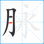 脉笔顺分解图片4