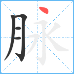 脉笔顺分解图片5