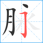 脉笔顺分解图片6