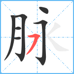 脉笔顺分解图片7