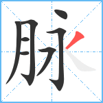 脉笔顺分解图片8