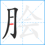 脍笔顺分解图片4