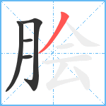 脍笔顺分解图片5