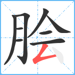 脍笔顺分解图片9