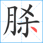 脎笔顺分解图片10