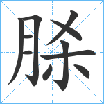 脎笔顺分解图片11