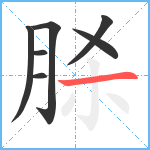 脎笔顺分解图片7