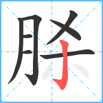 脎笔顺分解图片8