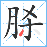 脎笔顺分解图片9