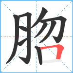 脗笔顺分解图片10