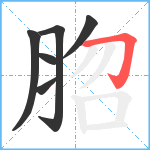 脗笔顺分解图片6