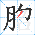 脗笔顺分解图片7