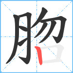 脗笔顺分解图片9