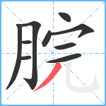 脘笔顺分解图片10