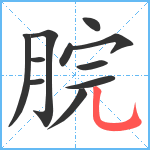 脘笔顺分解图片11