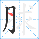 脙笔顺分解图片3