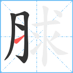 脙笔顺分解图片4