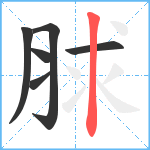 脙笔顺分解图片6