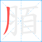 脜笔顺分解图片1