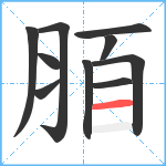 脜笔顺分解图片10