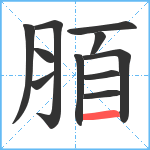 脜笔顺分解图片11