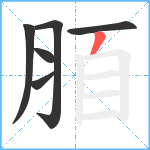 脜笔顺分解图片6