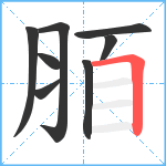 脜笔顺分解图片8