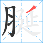 脠笔顺分解图片5