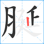 脠笔顺分解图片8