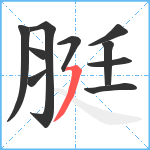 脡笔顺分解图片10