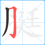 脡笔顺分解图片2