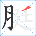 脡笔顺分解图片5