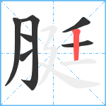 脡笔顺分解图片7