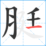 脡笔顺分解图片8