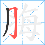 脢笔顺分解图片2