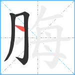 脢笔顺分解图片3