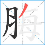 脢笔顺分解图片5