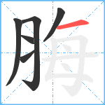 脢笔顺分解图片6