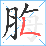 脢笔顺分解图片7