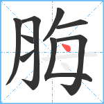 脢笔顺分解图片9