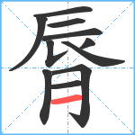 脣笔顺分解图片11